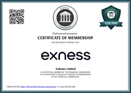 Understanding Exness Cent Account Leverage for Effective Trading 15