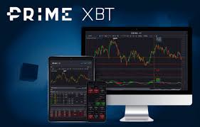 Exploring PrimeXBT The Future of Trading in Turkey -620402108