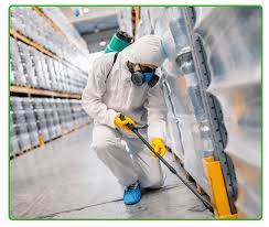 termite control services in Lahore1