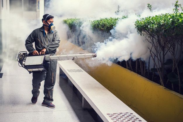 Professional Fumigation Services and Termite Treatment by Hafiz Pest Control for residential and commercial properties.